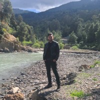 tarik ziad