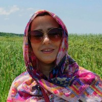 Sedigheh Najafy