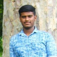 Vishwas S