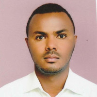 Surafel Bekele