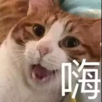 赖子逸