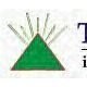 TRIANGLE INVESTMENT SOLUTIONS