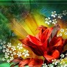 Asif Shaiks