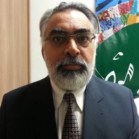 Julio Vizeu