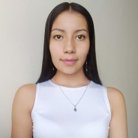 Laura Carolina Sanchez Toledo