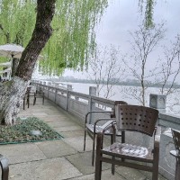杨露玲