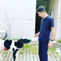 Muhlis Yağcıoğlu