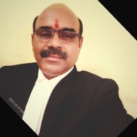 S V L Narsimha Rao Advocate (Lawyer)