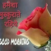 Md Iliyas