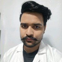 Prince Singh Rajput
