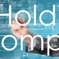 HOLDING RISK GROUP COMPANY