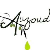 Auzoud Llc