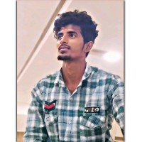 sarathi P