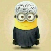 Muhammad Haseeb