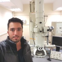 Andy Guzman