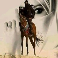 Sukkar Sultan
