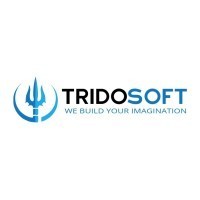 TridoSoft IT Solutions
