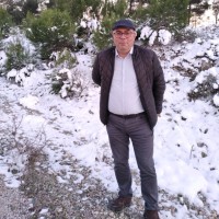 Bulent Aksoy
