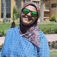 seham ebrahim