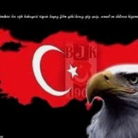 aydın Sevim