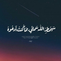 Omar A Ali