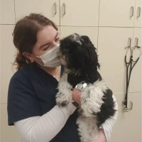 Meghan Silva, Rvn, Rvt
