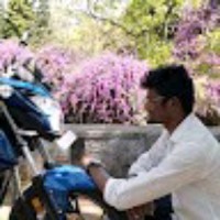 Rajaram P