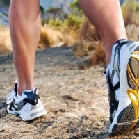 Walking Talkers Toastmasters Club