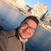 Zeyad Abdelaziz