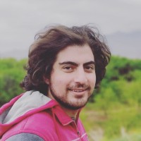 Alireza Hamzeh
