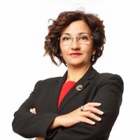 Ayla Mustecaplıoglu