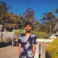 Vinayak D.