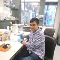 Partha Protim Biswas