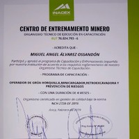 Miguel Alvarez Ossandon