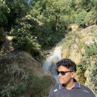 Ali Raza