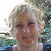Yvonne Van Der Woude