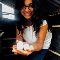 Prachi Pande