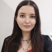 Ayşe Selcan Akin