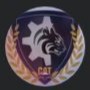 Cat Team