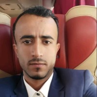 عمرو سيف