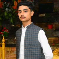 Ali Qasim Bajwa