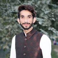 Tahzeeb Ul Hassan