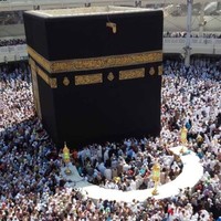 Wajeeha Aslam