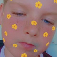 Lachlan Knox