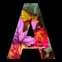 Apk Mero