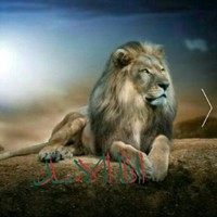Khaled Lion