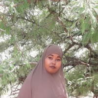 Shamso Mohamed