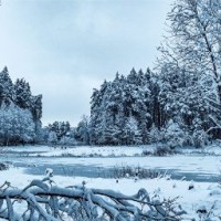 Elžbieta Gagelienė