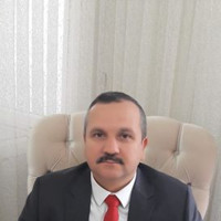 Aydın Dallı