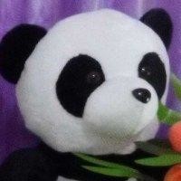 刘坤伦